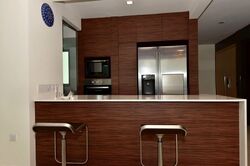 Eight Riversuites (D12), Condominium #573970481